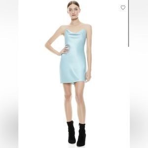 Alice and Olivia Harmony Mini Dress! Sold out of all sizes!!
